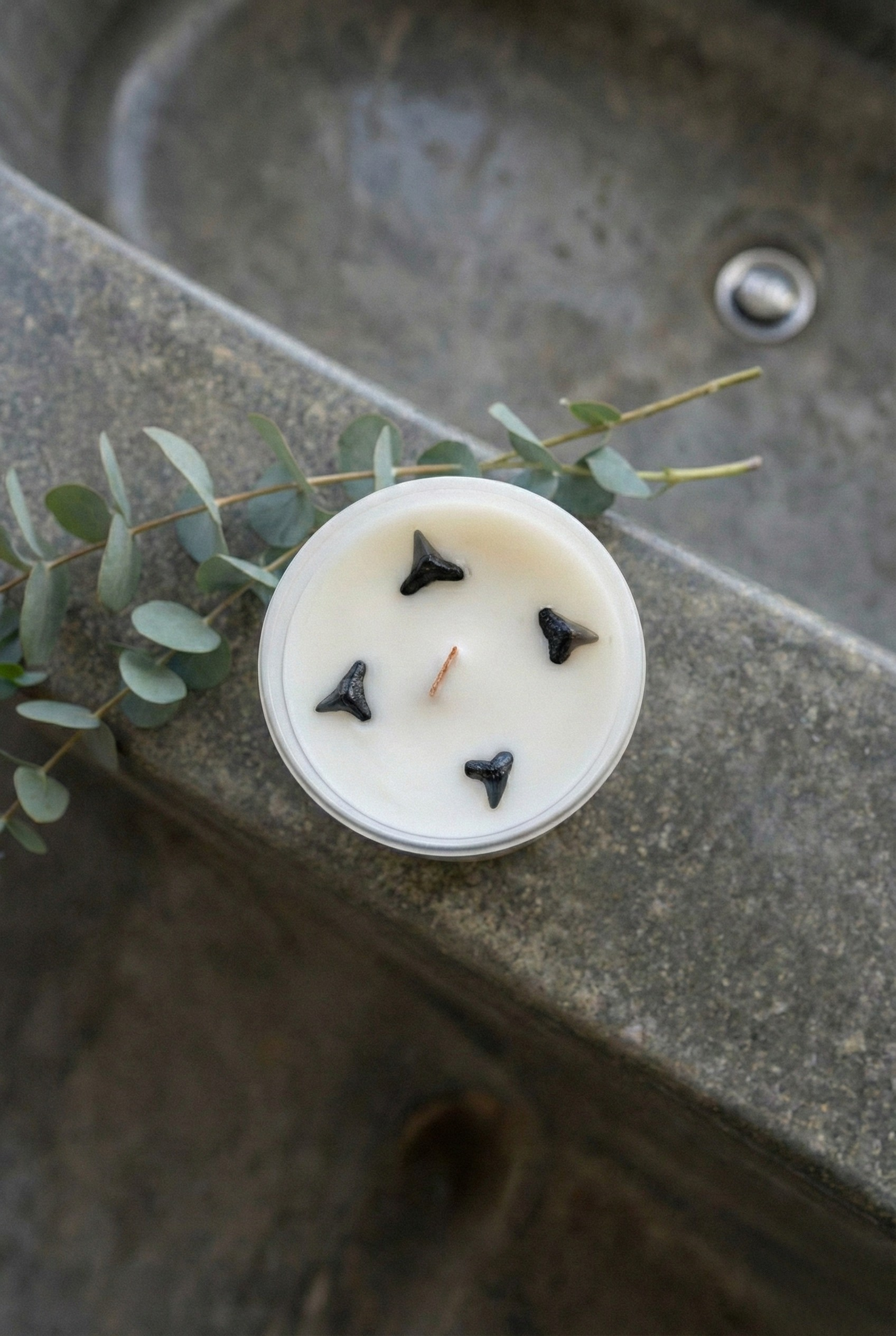 The Original Shark Tooth Candle