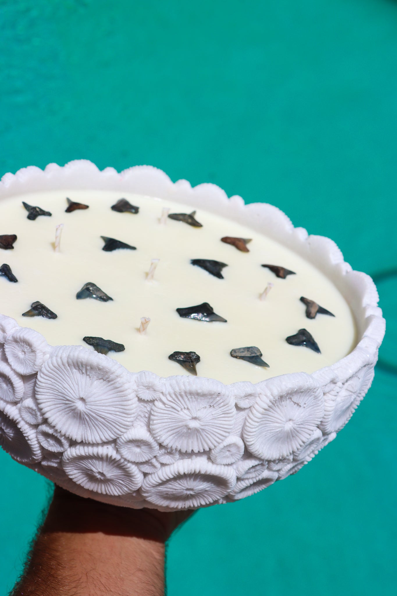 Coral Bowl