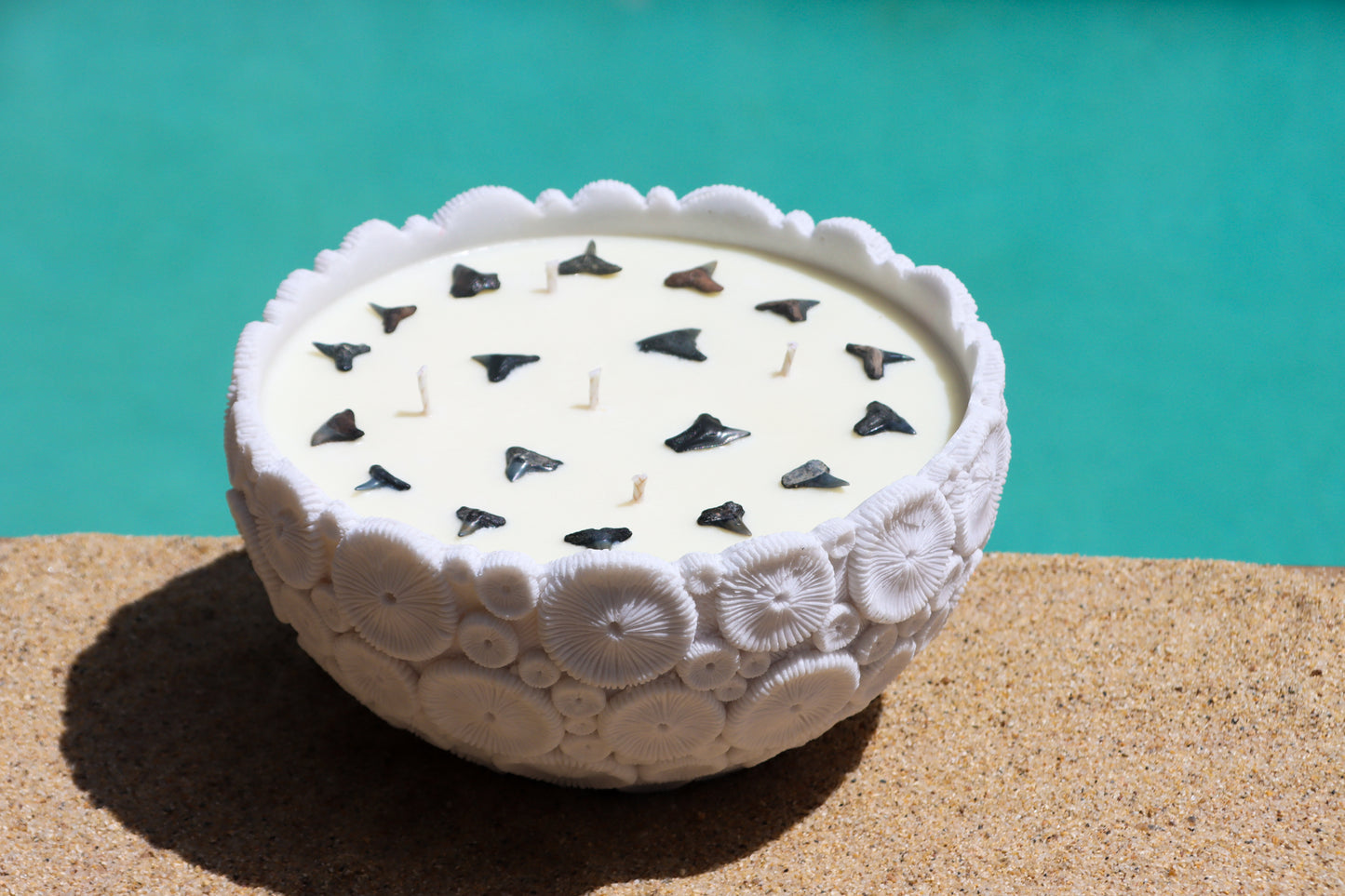 Coral Bowl
