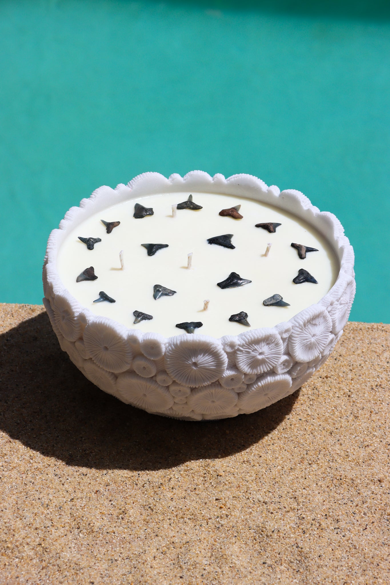 Coral Bowl