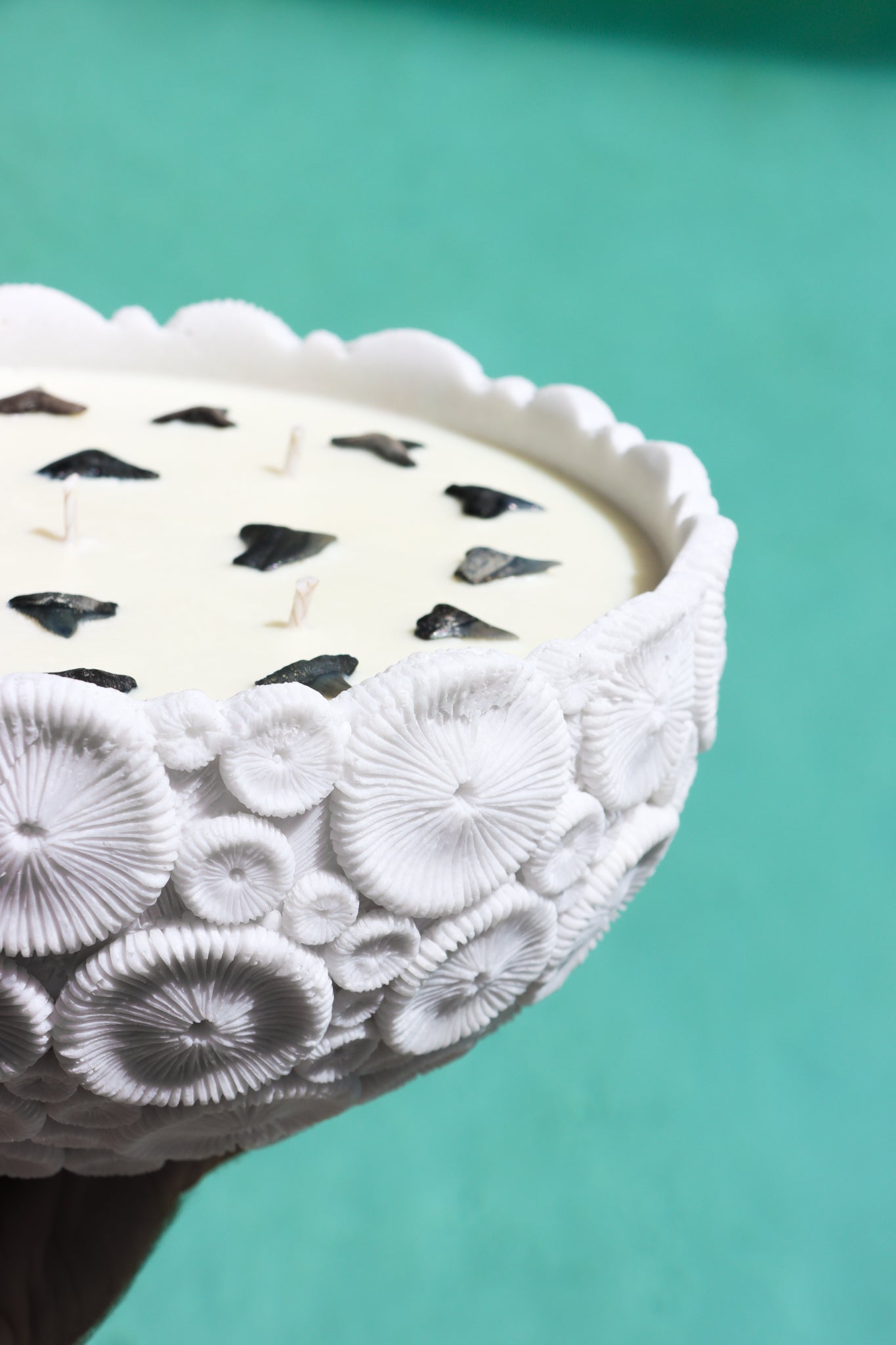 Coral Bowl