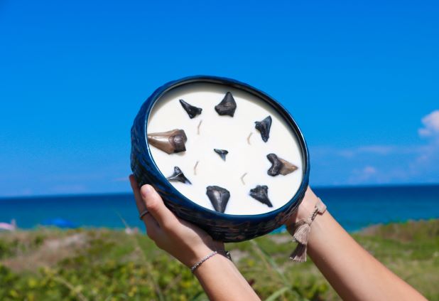 Limited Edition Shark Tooth Candles