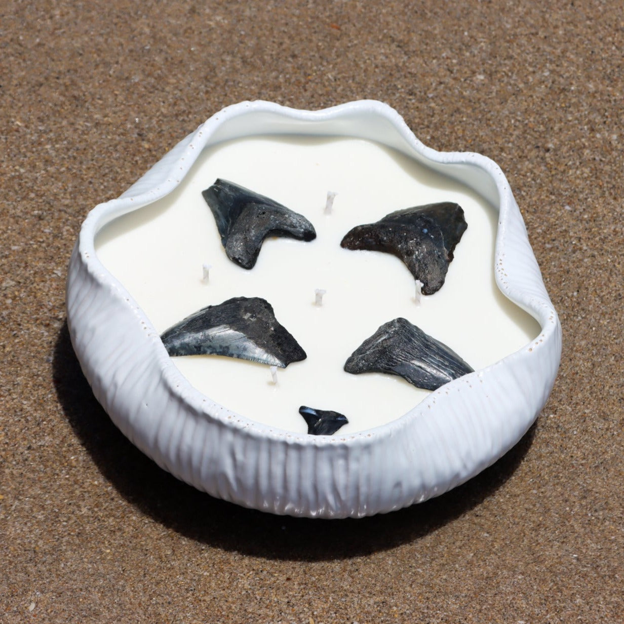 Maya_Bleu_shark_tooth_candle_beach_surf_candleIMG_5IMG_5265