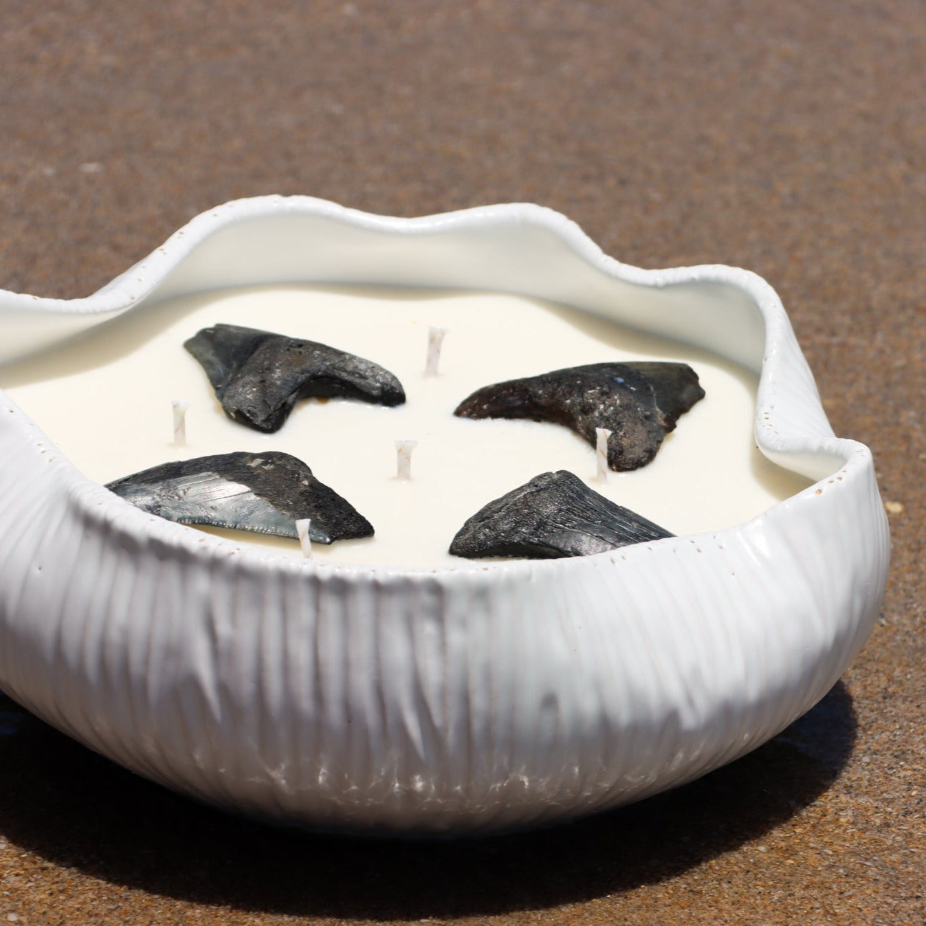 Maya_Bleu_shark_tooth_candle_beach_surf_candleIMG_5IMG_5265