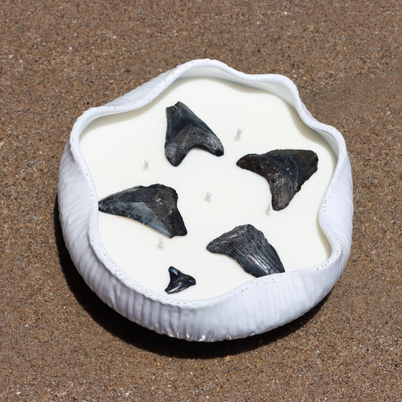 Maya_Bleu_shark_tooth_candle_beach_surf_candleIMG_5IMG_5265