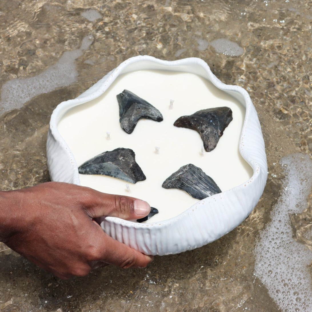 Maya_Bleu_shark_tooth_candle_beach_surf_candleIMG_5IMG_5265