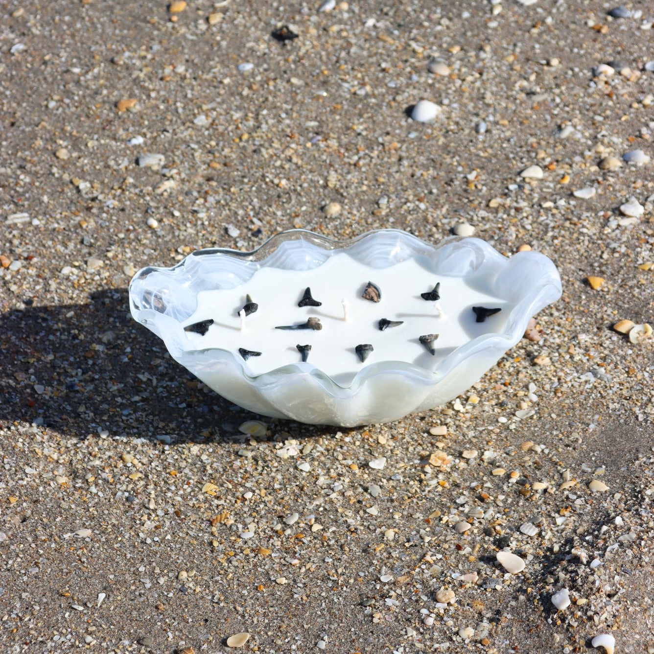 A close-up of Maya Bleu's shark tooth candle, featuring a natural soy wax blend and a real fossilized shark tooth embedded in the wax.