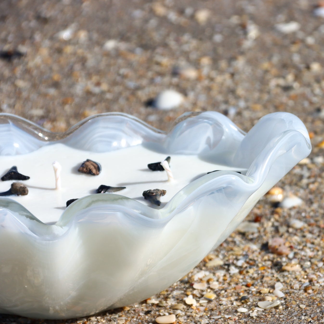 A close-up of Maya Bleu's shark tooth candle, featuring a natural soy wax blend and a real fossilized shark tooth embedded in the wax.