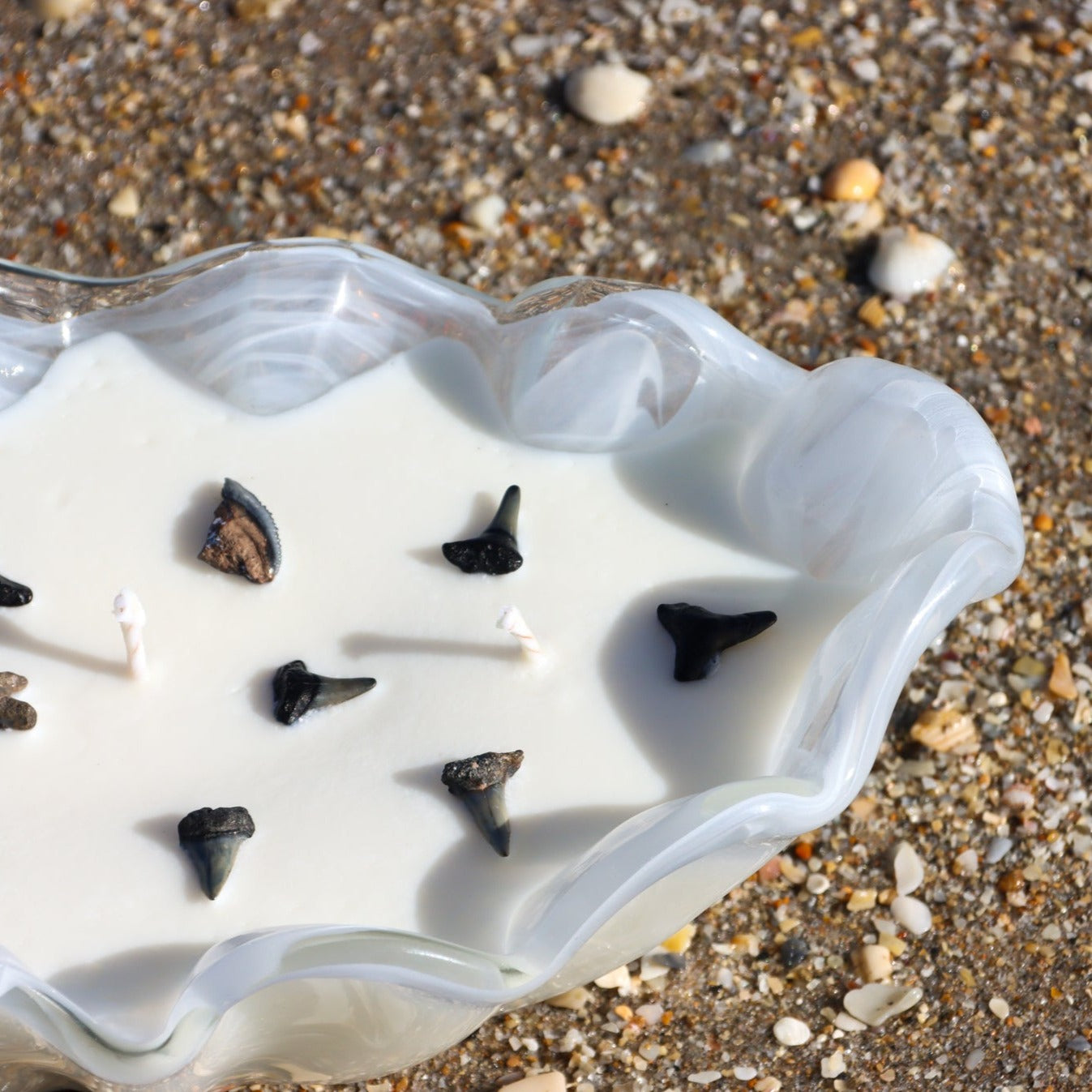 A close-up of Maya Bleu's shark tooth candle, featuring a natural soy wax blend and a real fossilized shark tooth embedded in the wax.