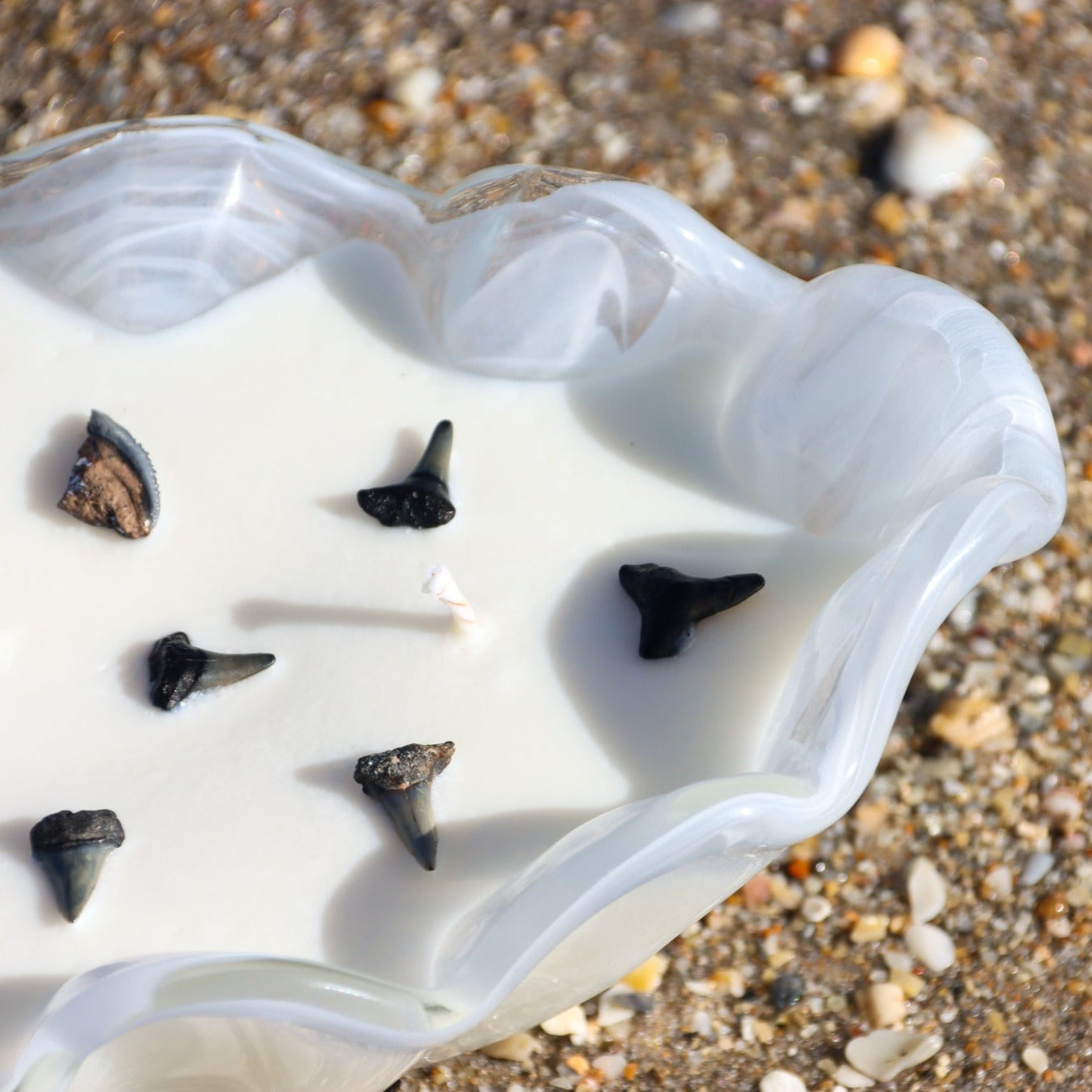 A close-up of Maya Bleu's shark tooth candle, featuring a natural soy wax blend and a real fossilized shark tooth embedded in the wax.