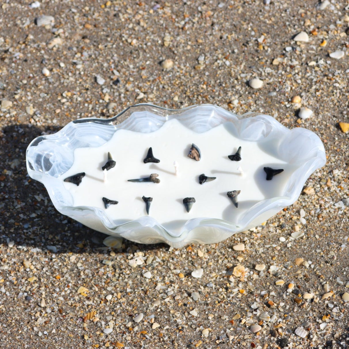 A close-up of Maya Bleu's shark tooth candle, featuring a natural soy wax blend and a real fossilized shark tooth embedded in the wax.