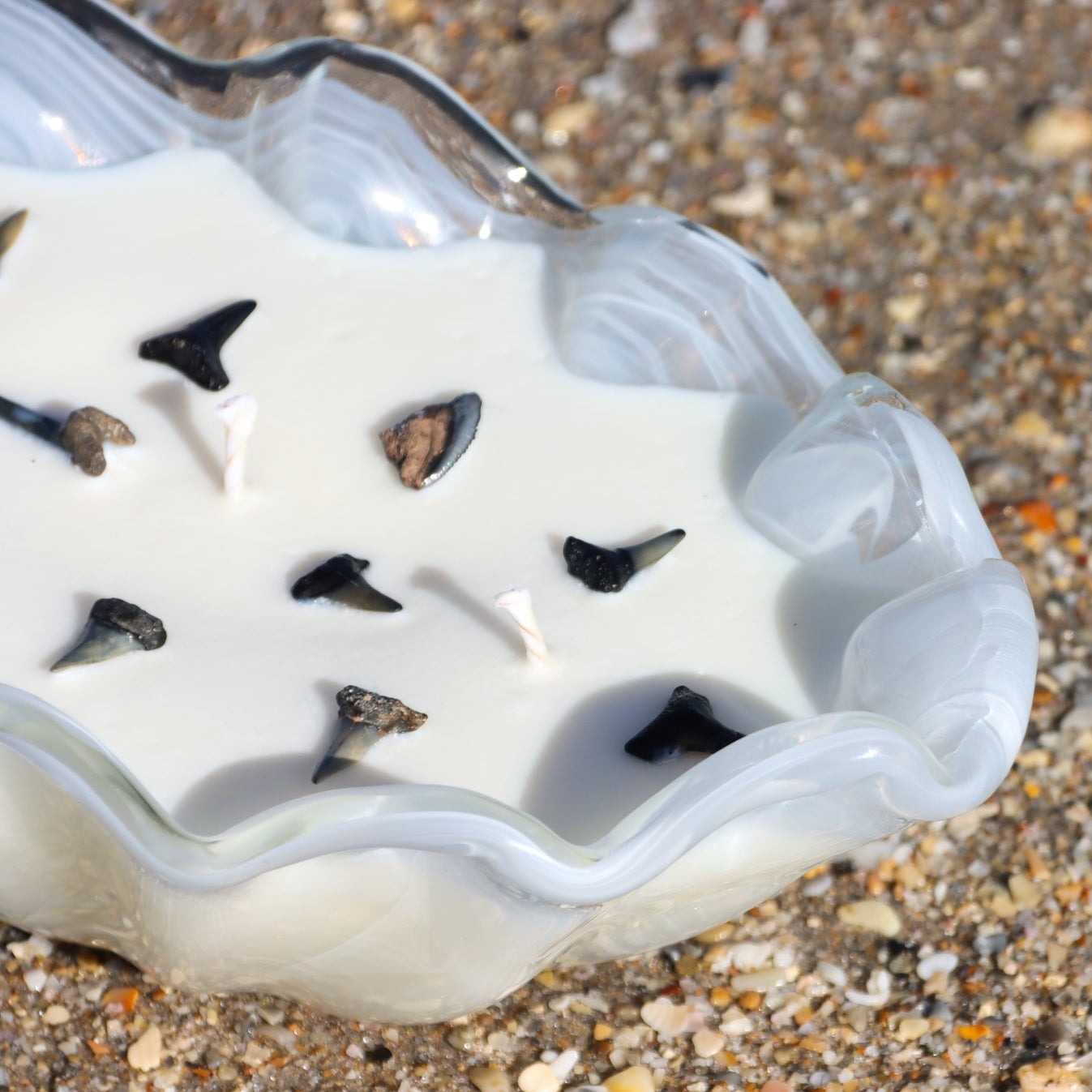 A close-up of Maya Bleu's shark tooth candle, featuring a natural soy wax blend and a real fossilized shark tooth embedded in the wax.