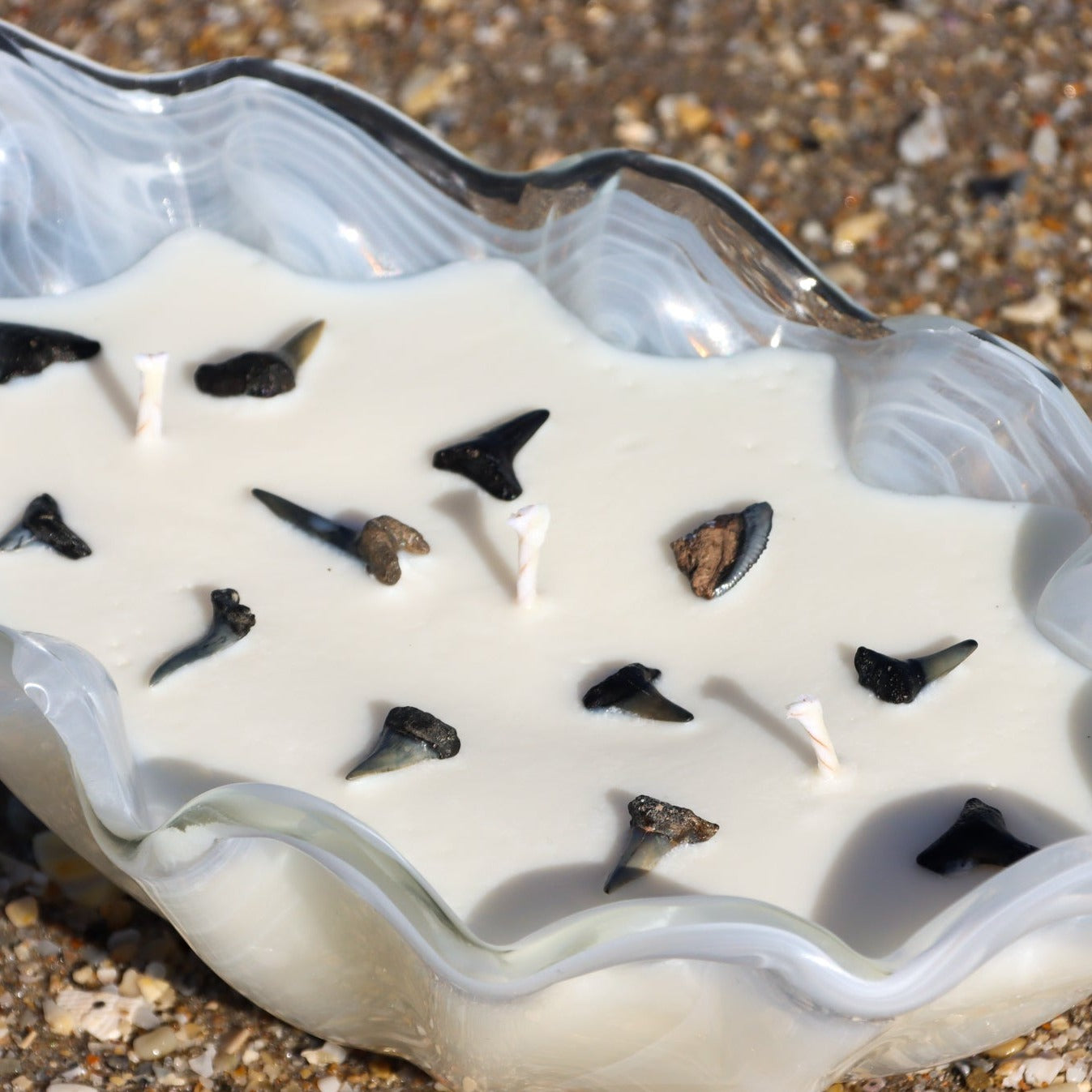 A close-up of Maya Bleu's shark tooth candle, featuring a natural soy wax blend and a real fossilized shark tooth embedded in the wax.