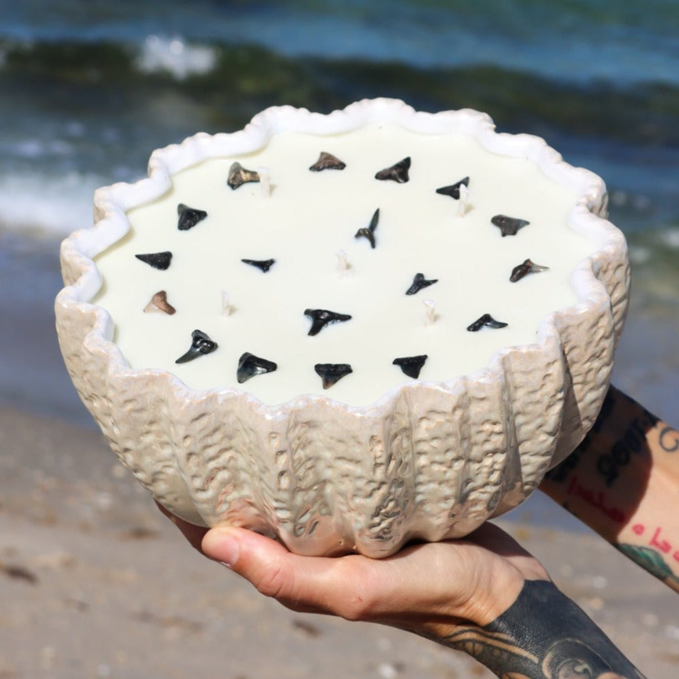 A close-up of Maya Bleu's shark tooth candle, featuring a natural soy wax blend and a real fossilized shark tooth embedded in the wax.