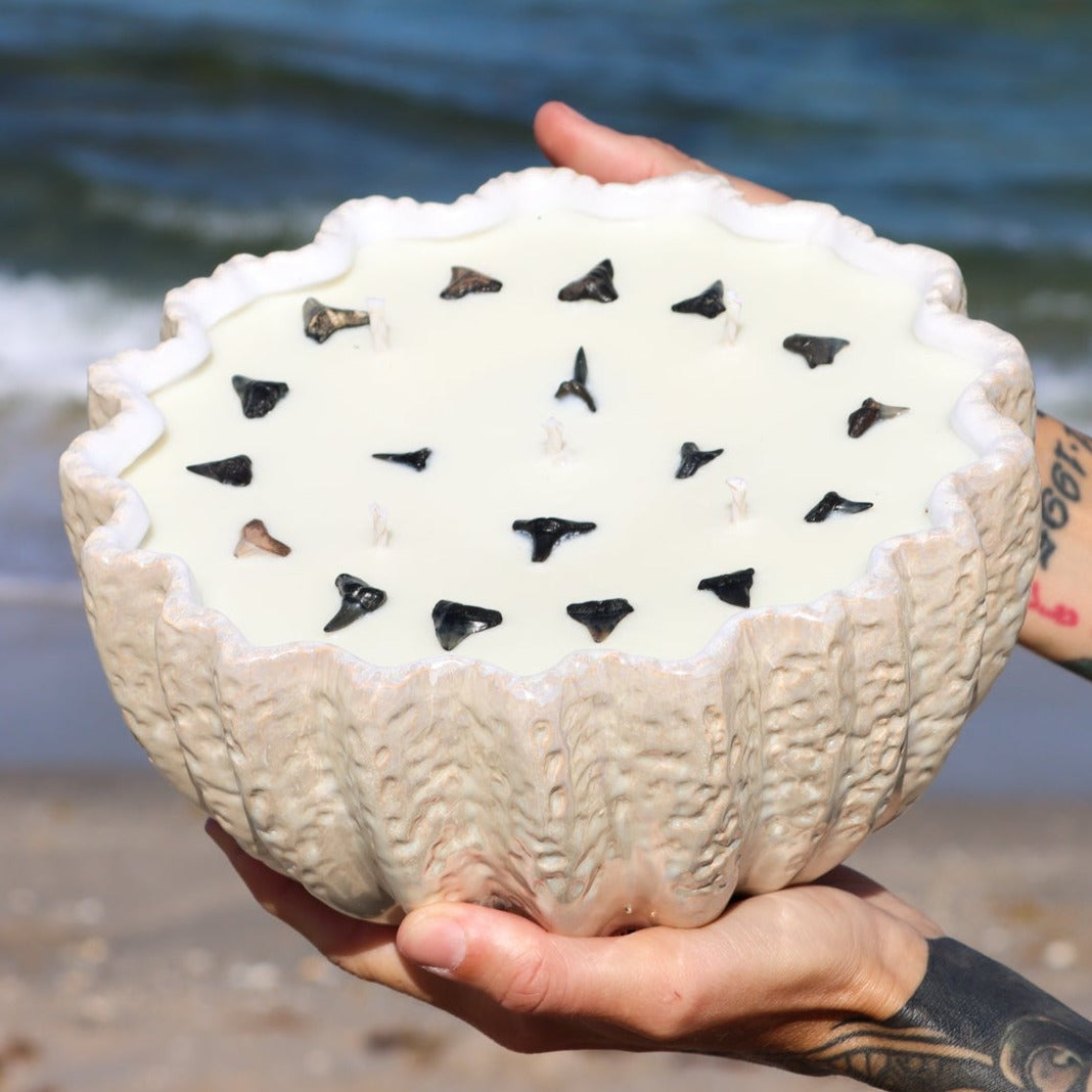 A close-up of Maya Bleu's shark tooth candle, featuring a natural soy wax blend and a real fossilized shark tooth embedded in the wax.