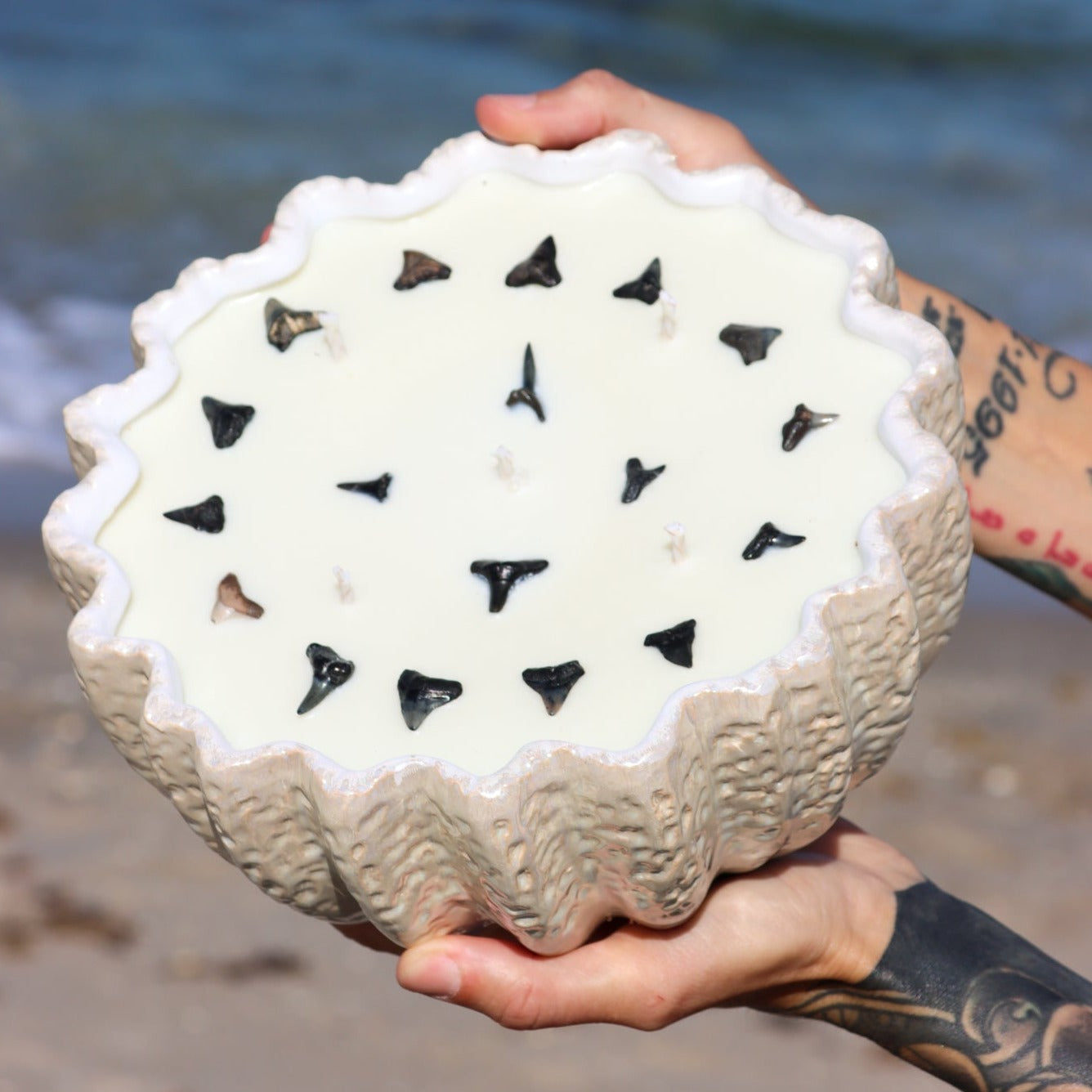 A close-up of Maya Bleu's shark tooth candle, featuring a natural soy wax blend and a real fossilized shark tooth embedded in the wax.