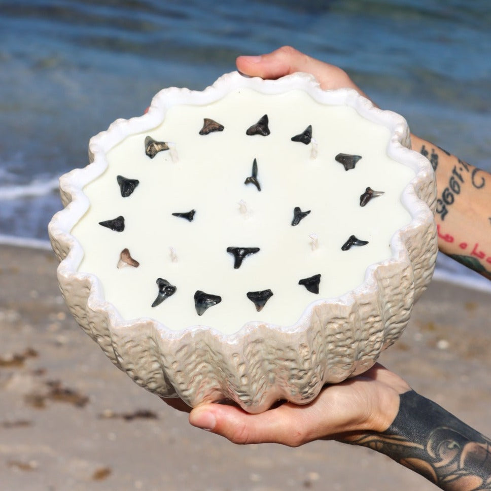 A close-up of Maya Bleu's shark tooth candle, featuring a natural soy wax blend and a real fossilized shark tooth embedded in the wax.