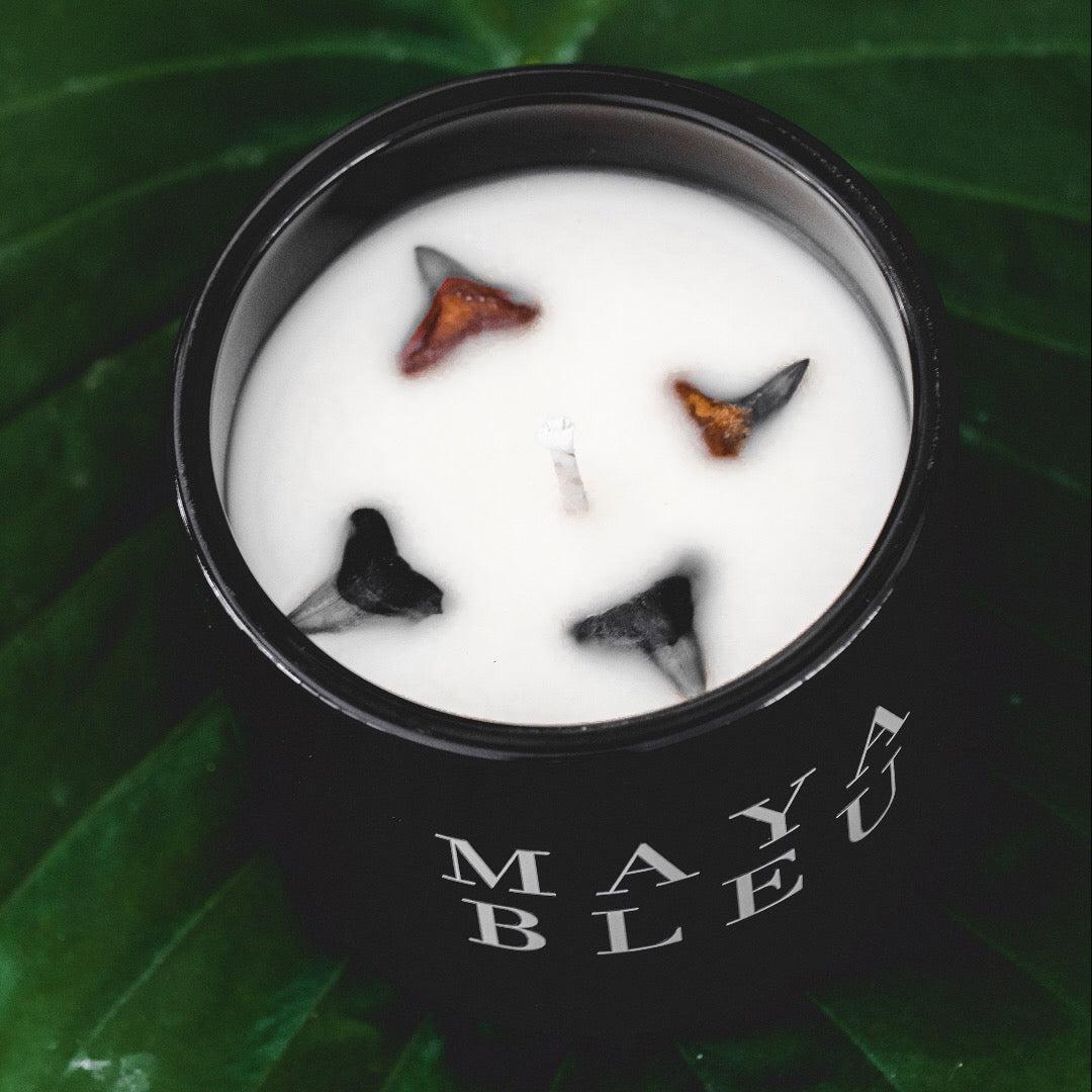 Original Shark Tooth Candle